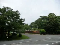 Mikasa - parking