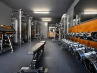 Hotel Rec de Palau - Gym