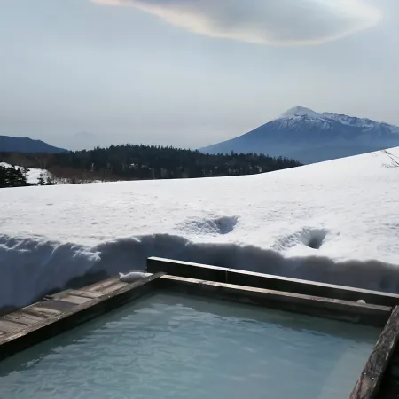 Toshichi Onsen Saiunso