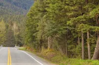 Budget-friendly Studio Near Alyeska Lifts -  Appartamenti vacanze