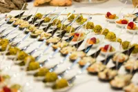 Hotel Mediterraneo - pet friendly
