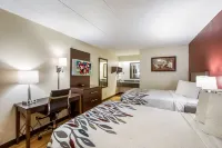 Red Roof Inn Saginaw - Frankenmuth Hotels in Saginaw