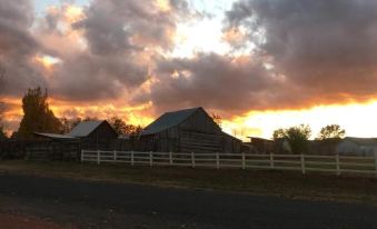 The Loubird Inn
