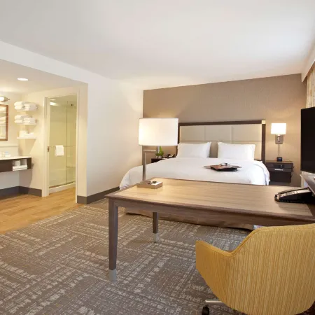 Hampton Inn & Suites Minneapolis/Downtown