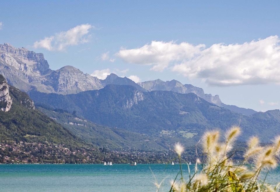 1. 이비스 안시 상..