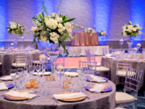 ヒルトン ユニバーシティ オブ フロリダ カンファレンス センター ゲインズビル ゲーンズビルのホテル