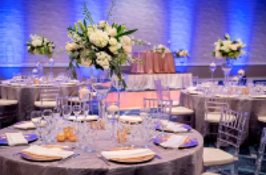 Hilton University of Florida Conference Center Gainesville Hotels in Alachua County