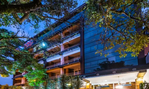 Hotel du Parc