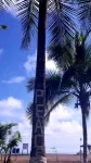 Ocean and Rainforest Panoramic Views Jaco 3 Bdrm with Pool