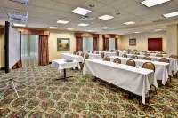 Holiday Inn & Suites Ann Arbor Univ. Michigan Area