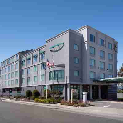Four Points by Sheraton - San Francisco Airport Hotel Exterior