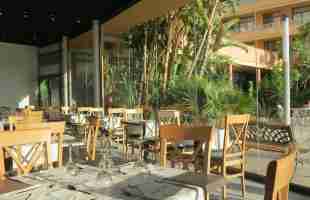 Top 10 Aloe Vera Hotels-2026 Luxury Hotels Ranking | Trip.com Blog