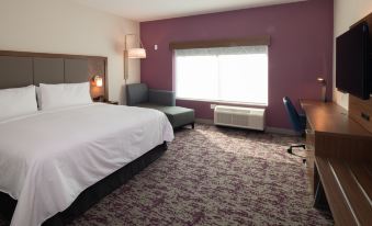 Holiday Inn Express & Suites Little Rock Downtown