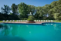 Hotel DEL Bosque - piscina