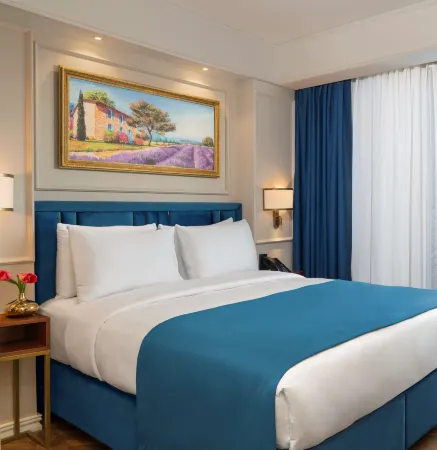 Royan Hotel Hagia Sophia Istanbul, Radisson Individuals