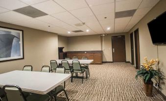 Comfort Inn & Suites St Louis-Hazelwood