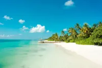 Canareef Resort Maldives - Wifi
