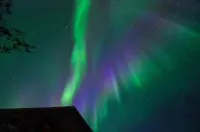 Jenny's Guest House Hotels in Yellowknife