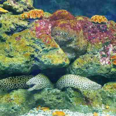 Blu Monkey Hub & Hotel Bangsaen Hotel Exterior