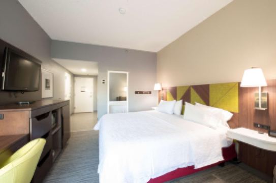 Hampton Inn Atlanta-Southlake