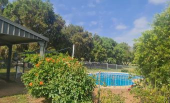 a backyard with a large pool surrounded by lush greenery , including trees and bushes , under a clear blue sky at Valley View Motel