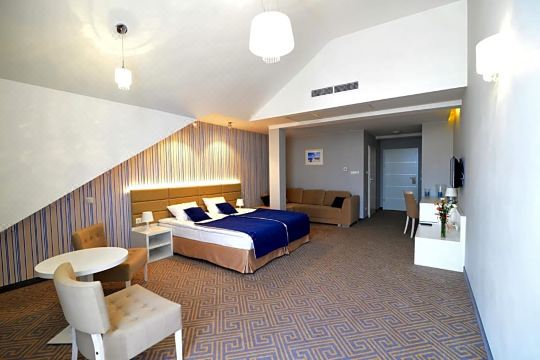 호텔 알렉산드리아 시에들체