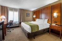 Comfort Inn Romeoville - Bolingbrook Hotels in Du Page Township