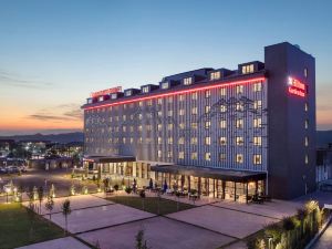 Hilton Garden Inn Erzurum