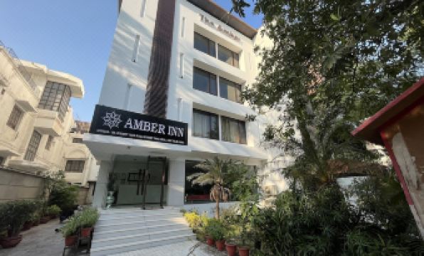 1. 트리보 앰버..