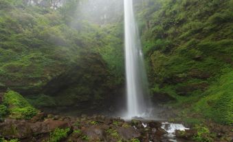 Bobocabin Coban Rondo Malang