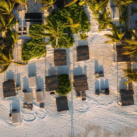 Nest Tulum