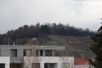 埃爾米斯公寓 梅青根住宿飯店