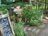 Guesthouse Canterbury Hotels in 