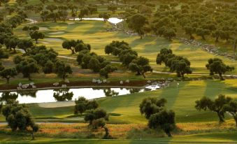 Arcos Gardens Sol Rent Golf