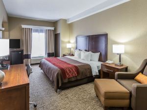 Comfort Inn South