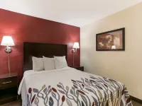 Red Roof Inn Hershey Hotels in Hershey