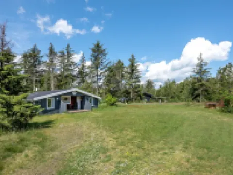 "Gangulf" - 150m from the Sea