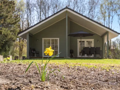 "Eryka" - 28km from the Sea