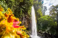 Resong Hotel Hotels in Katapiang