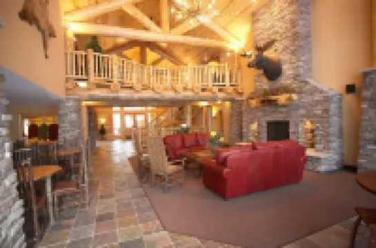 화이트피쉬 로지 & 스위트