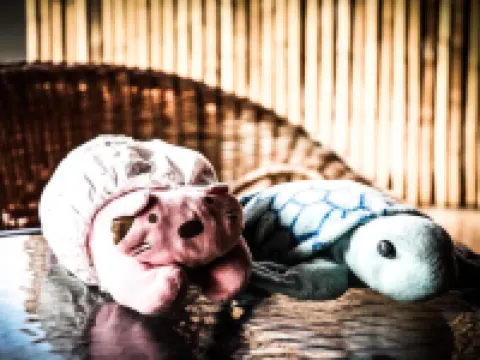 Baan Khun Yaai Mai Khun Ta