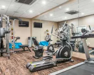 Comfort Inn & Suites Pittsburgh South - Gym