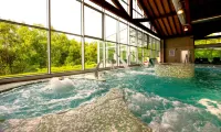 Hotel Spa Attica21 Vilalba - balneario