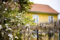 Västervik Rum Och Stugor Hotels near Västerviks Ställplats Welux