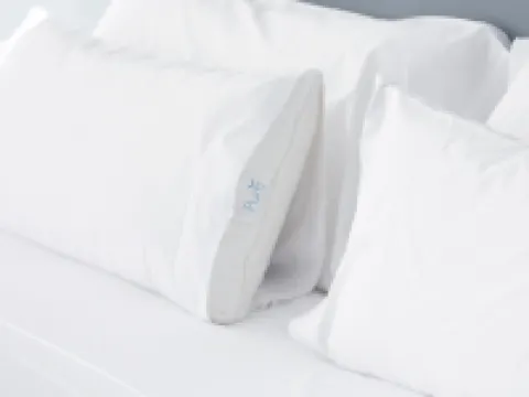 エンバシー スイーツ by ヒルトン フランクリン クール スプリングス フランクリンのホテル