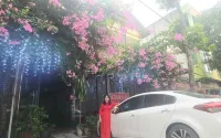 Camellia Hotel Hotels in Ninh Binh