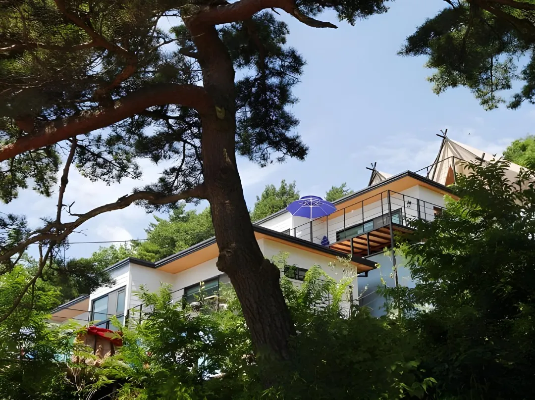 Sancheong Jirisan Noul Pension - Jinju-si