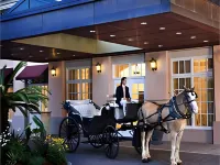 The Lindy Renaissance Charleston Hotel Hotels near Rainbow Row