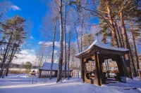 Zagorodnyj Klub Aviaretro Hotel Hotels in Prionezhsky District