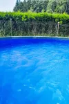 Jelemek - piscine